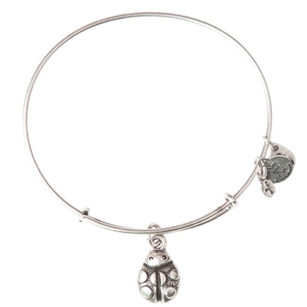 Alex and Ani Bracelet - Picture 1 of 2